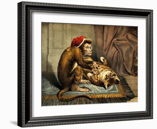 Monkey Physician Examining Cat for Fleas-Science Source-Framed Giclee Print