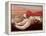 Monkey Picnic-Lincoln Seligman-Framed Premier Image Canvas