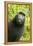 Monkey Selfie-David Slater-Framed Premier Image Canvas