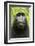 Monkey Selfie-David Slater-Framed Photographic Print