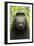 Monkey Selfie-David Slater-Framed Photographic Print