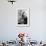 Monkey Sitting on a Durga Temple Bell, Varanasi, Uttar Pradesh, India, 1982-null-Framed Photographic Print displayed on a wall