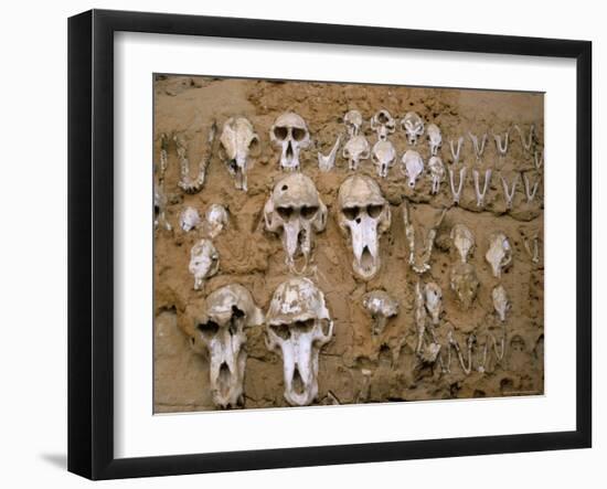 Monkey Skulls Embedded in Mud Wall to Protect Against Evil Spirits, Dogon Village of Telle, Africa-Jane Sweeney-Framed Photographic Print