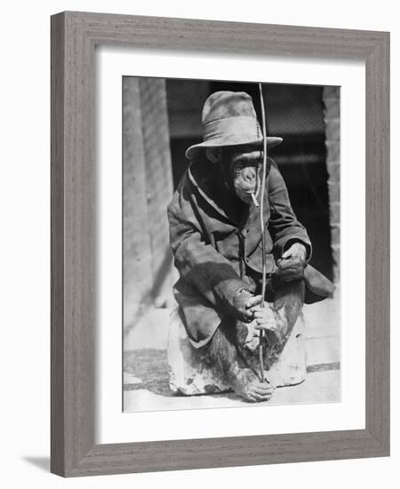 Monkey Wearing Jacket Smoking Cigarette-null-Framed Photographic Print