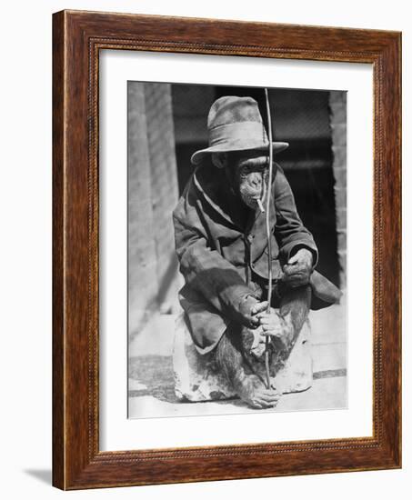 Monkey Wearing Jacket Smoking Cigarette-null-Framed Photographic Print