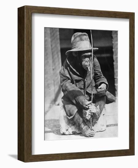 Monkey Wearing Jacket Smoking Cigarette-null-Framed Photographic Print