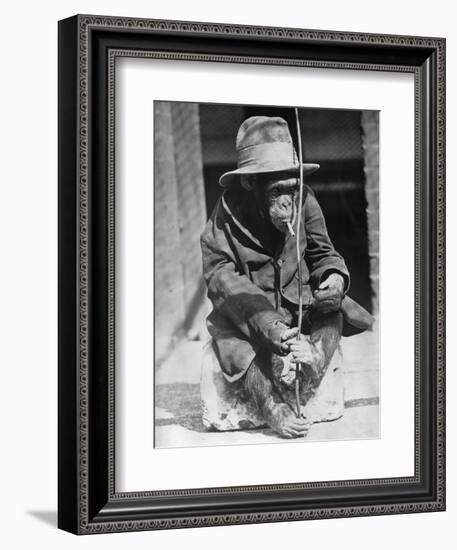 Monkey Wearing Jacket Smoking Cigarette-null-Framed Photographic Print