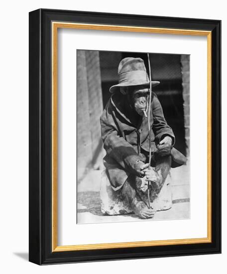 Monkey Wearing Jacket Smoking Cigarette-null-Framed Photographic Print