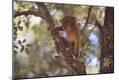 Premium Photographic Print