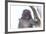 Monkey-Gordon Semmens-Framed Photographic Print