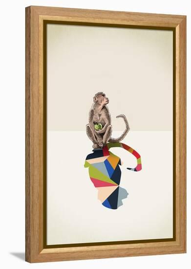Monkey-Jason Ratliff-Framed Premier Image Canvas