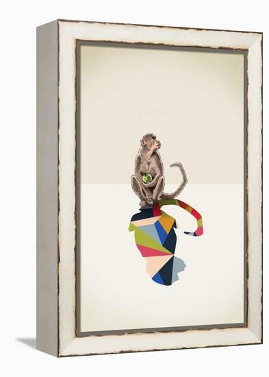 Monkey-Jason Ratliff-Framed Premier Image Canvas