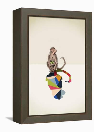 Monkey-Jason Ratliff-Framed Premier Image Canvas