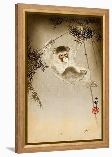 Monkey-Koson Ohara-Framed Premier Image Canvas