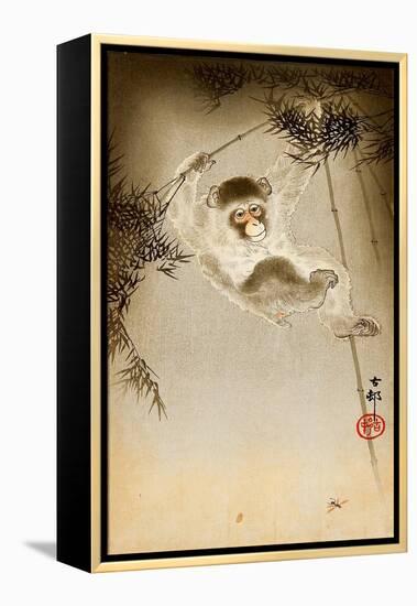 Monkey-Koson Ohara-Framed Premier Image Canvas