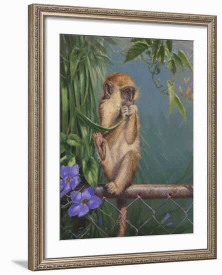 Monkey-Michael Jackson-Framed Giclee Print