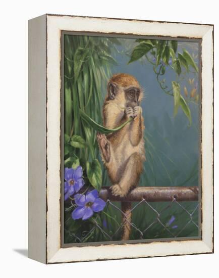 Monkey-Michael Jackson-Framed Premier Image Canvas