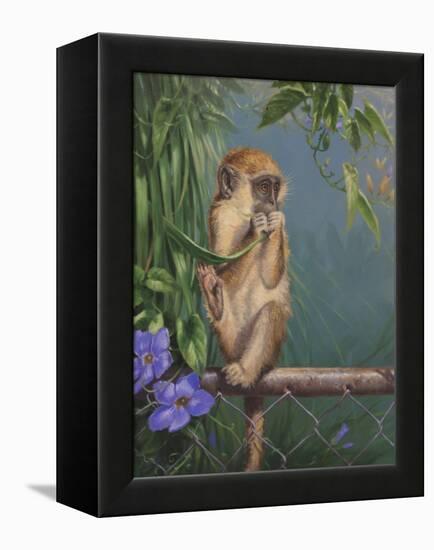 Monkey-Michael Jackson-Framed Premier Image Canvas