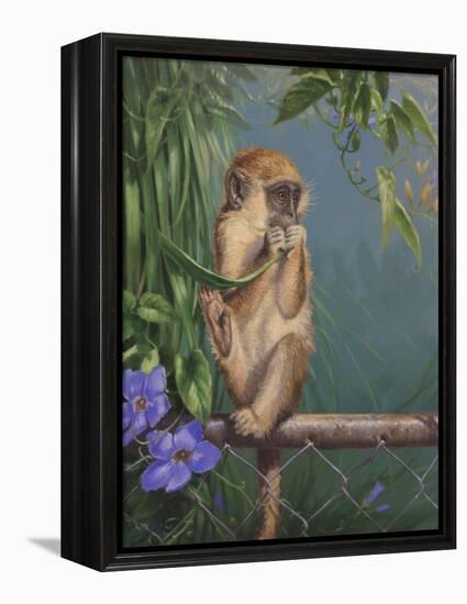 Monkey-Michael Jackson-Framed Premier Image Canvas