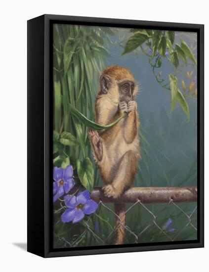 Monkey-Michael Jackson-Framed Premier Image Canvas