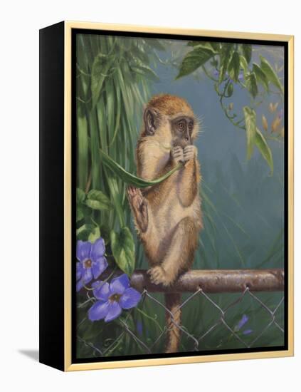 Monkey-Michael Jackson-Framed Premier Image Canvas