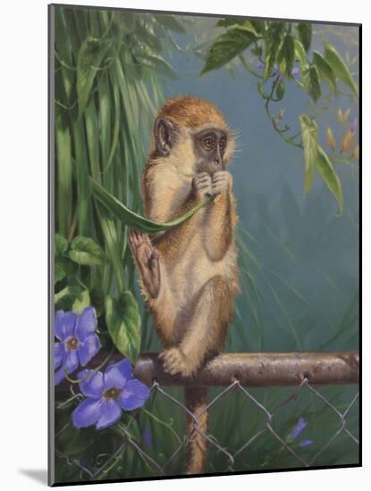 Monkey-Michael Jackson-Mounted Giclee Print