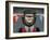 Monkey-Anthony Freda-Framed Giclee Print