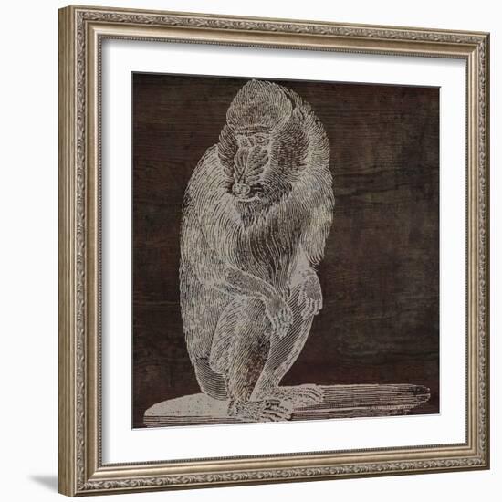 Monkey-null-Framed Giclee Print