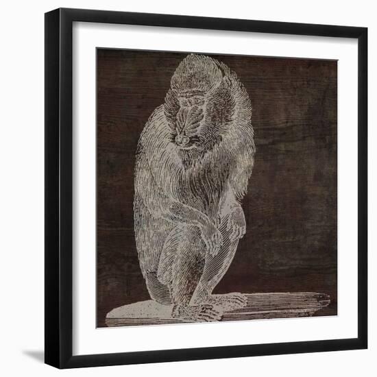 Monkey-null-Framed Giclee Print