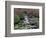 Monkeyflowers along Paradise Creek, Mt. Rainier National Park, Washington, USA-Jamie & Judy Wild-Framed Photographic Print