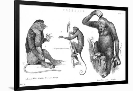 Art Print, , large