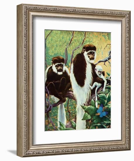 Monkeys - Child Life-Jack Murray-Framed Giclee Print