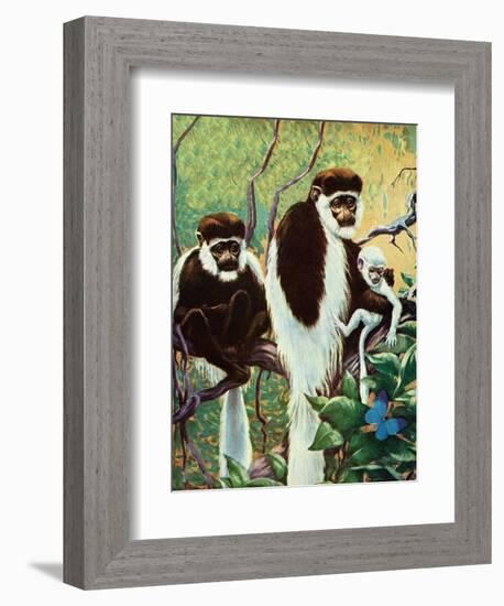 Monkeys - Child Life-Jack Murray-Framed Giclee Print