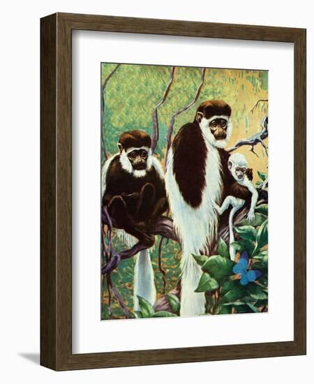 Monkeys - Child Life-Jack Murray-Framed Giclee Print