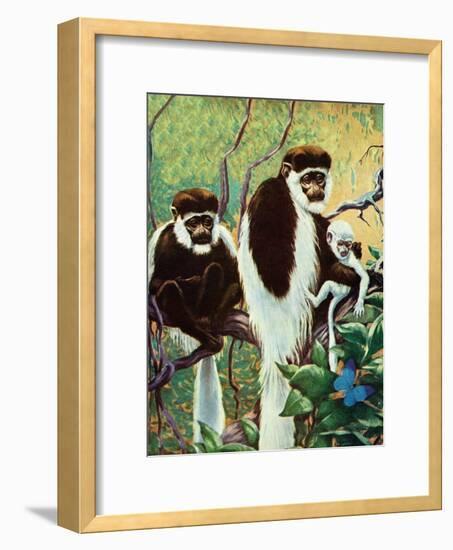 Monkeys - Child Life-Jack Murray-Framed Giclee Print