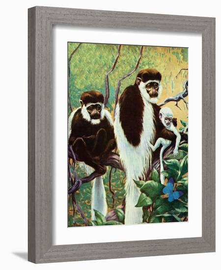 Monkeys - Child Life-Jack Murray-Framed Giclee Print