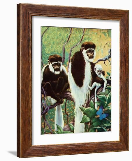 Monkeys - Child Life-Jack Murray-Framed Giclee Print