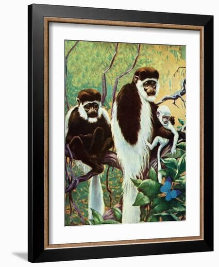 Monkeys - Child Life-Jack Murray-Framed Giclee Print