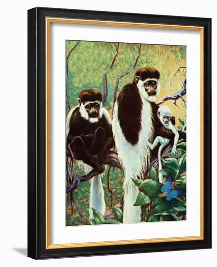 Monkeys - Child Life-Jack Murray-Framed Giclee Print