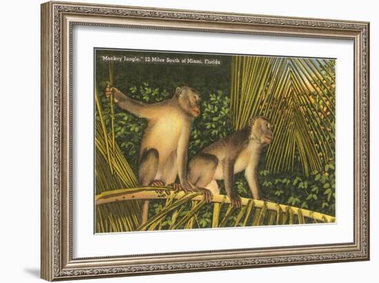 Monkeys, Florida-null-Framed Art Print