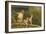 Monkeys, Florida-null-Framed Art Print