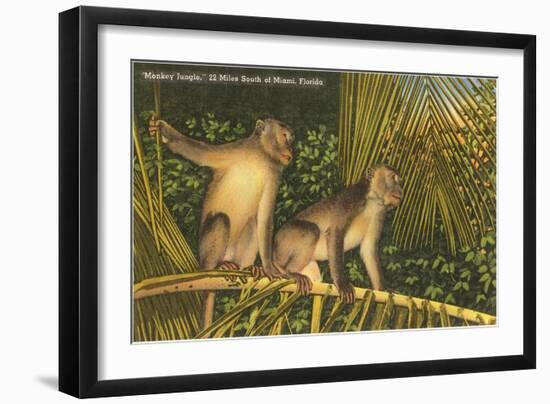 Monkeys, Florida-null-Framed Art Print