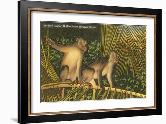 Monkeys, Florida-null-Framed Art Print