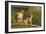 Monkeys, Florida-null-Framed Art Print