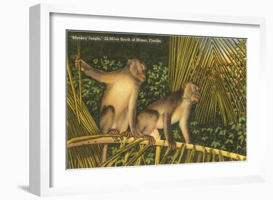 Monkeys, Florida-null-Framed Art Print
