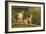 Monkeys, Florida-null-Framed Art Print