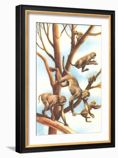 Monkeys in Trees-null-Framed Art Print