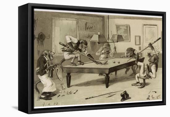 Monkeys Play Billiards-null-Framed Premier Image Canvas