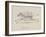 Monkeys Riding a Zebra, Nonsense Botany Animals and Other Poems Written and Drawn by Edward Lear-Edward Lear-Framed Giclee Print