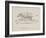 Monkeys Riding a Zebra, Nonsense Botany Animals and Other Poems Written and Drawn by Edward Lear-Edward Lear-Framed Giclee Print